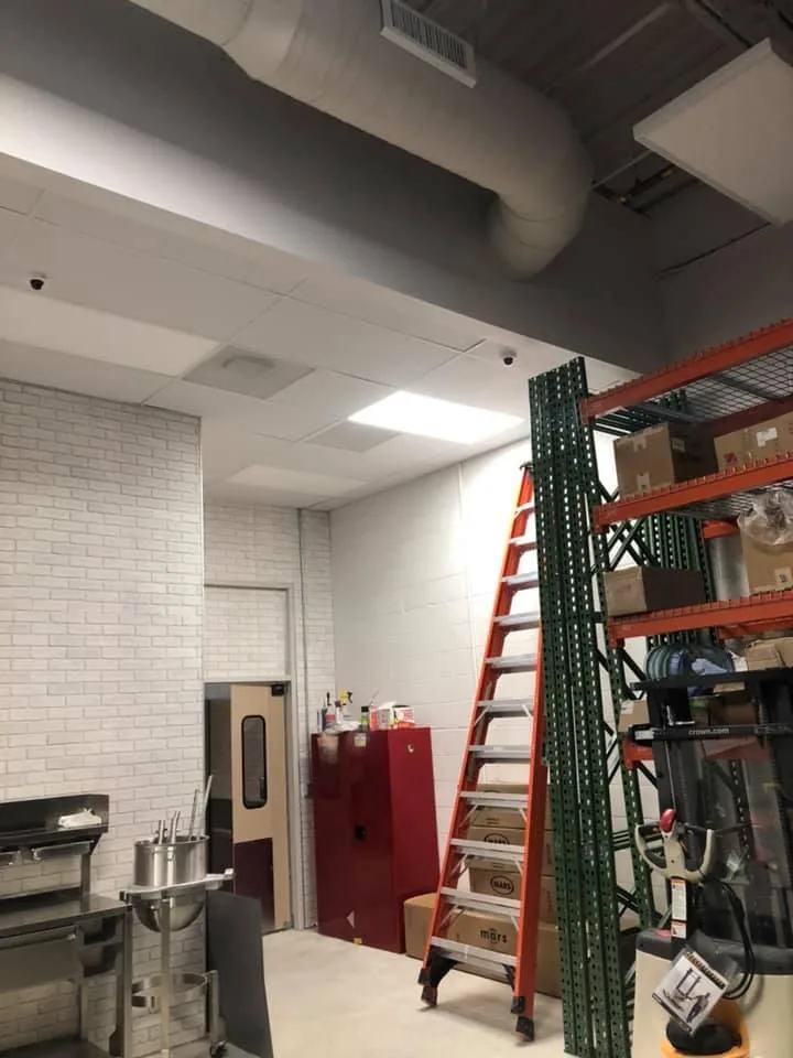 Industrial commercial interior with painted walls and exposed structure